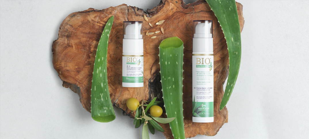Nouveaux produits faciaux de notre gamme BIO* Aloe Vera et Olive