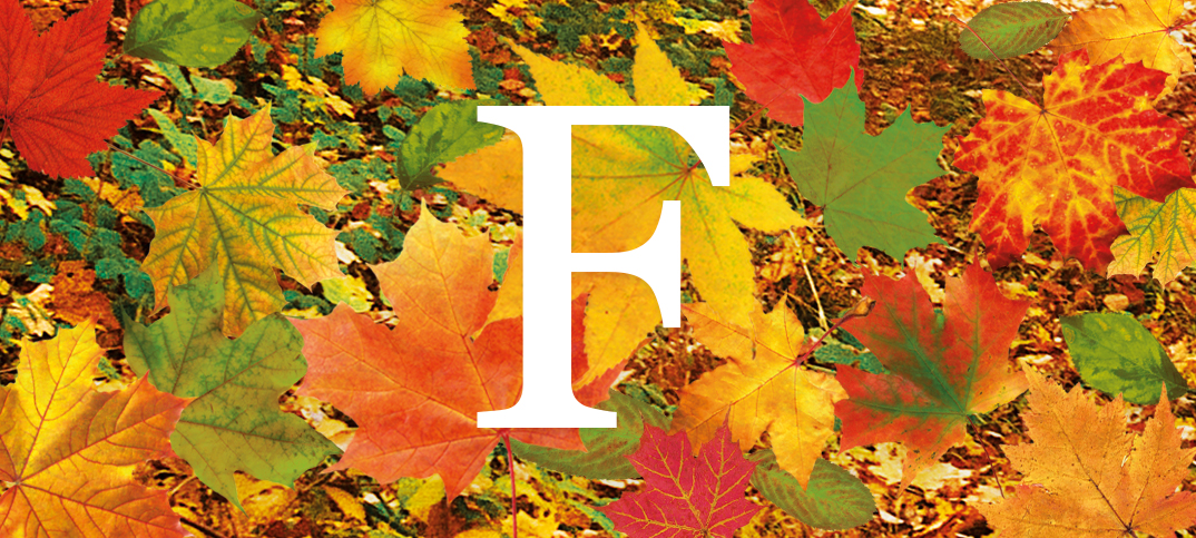 Forest Collection: vive el otoño con dos nuevos perfumes para ti