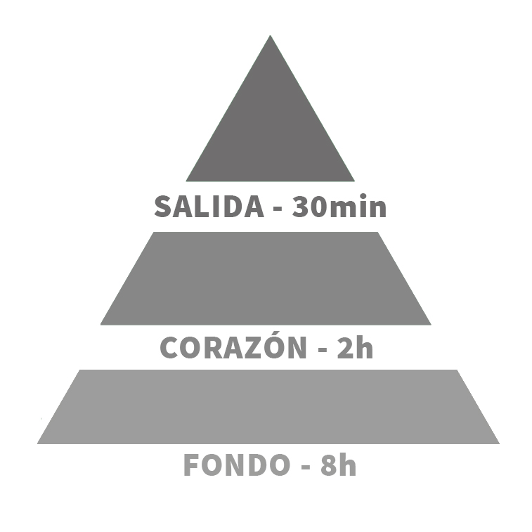 equivalenza-pirámide-olfativa-Mylène-Thioux